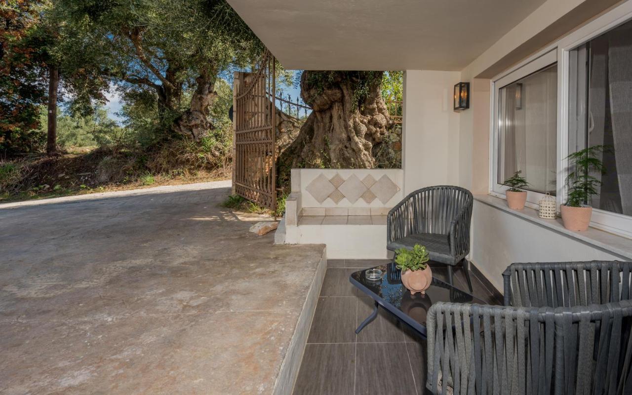 Asante Group Holiday Homes Tsilivi  Ngoại thất bức ảnh